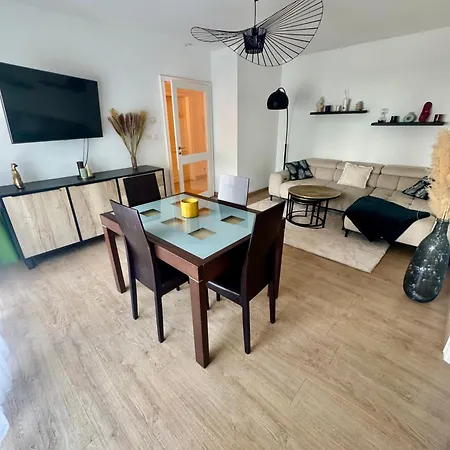 Elegant F2 Avec Grande Terrasse Et Garage Prive Daire